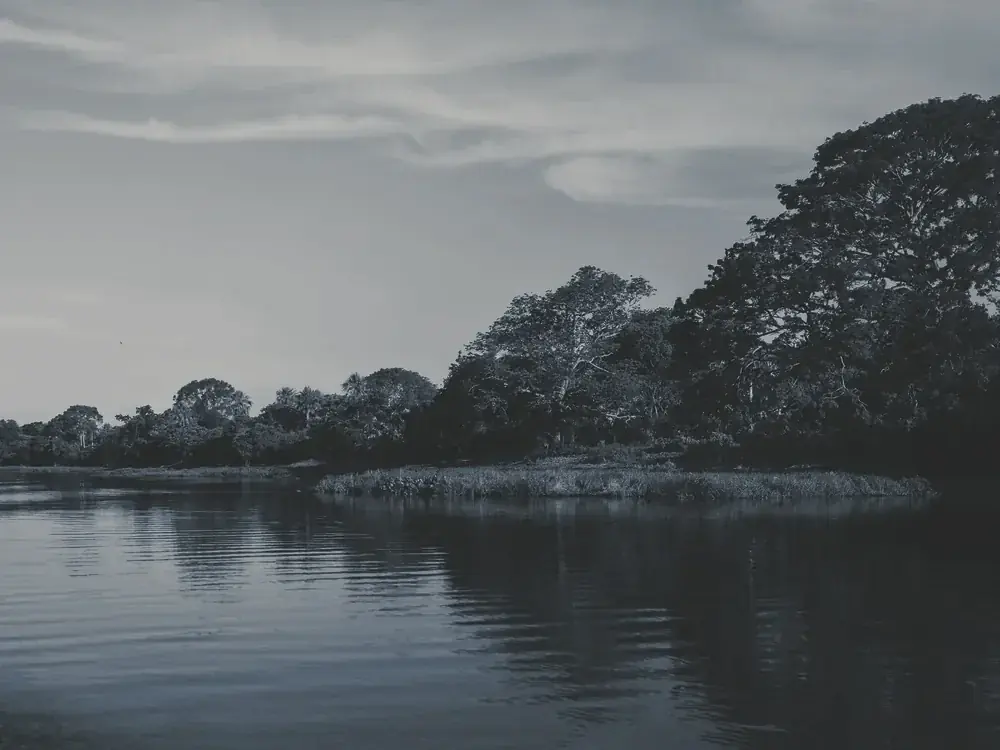 Pantanal · Mato Grosso